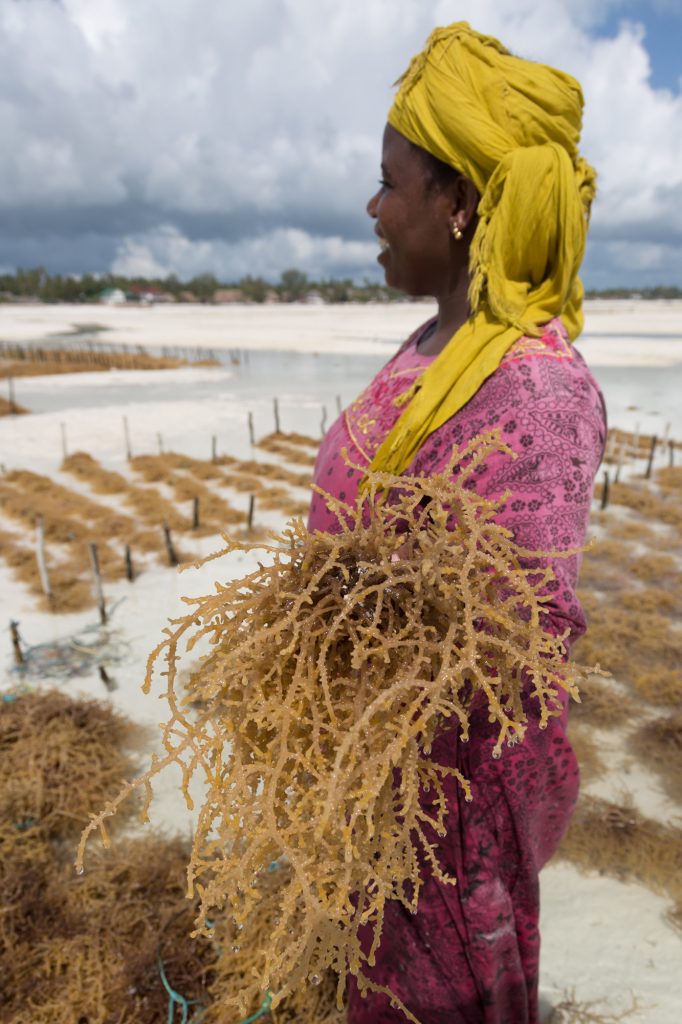 Swahili beauty experience